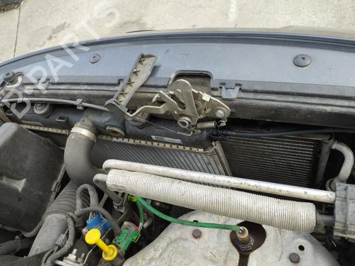 Used Water radiator PEUGEOT 206+ (2L_, 2M_) 1.4 i (73 hp) 28600545