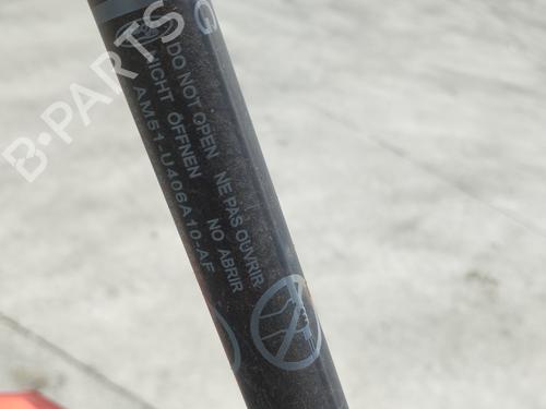 Tailgate lift support FORD GRAND C-MAX (DXA/CB7, DXA/CEU) 1.6 TDCi | BP29550564C138 