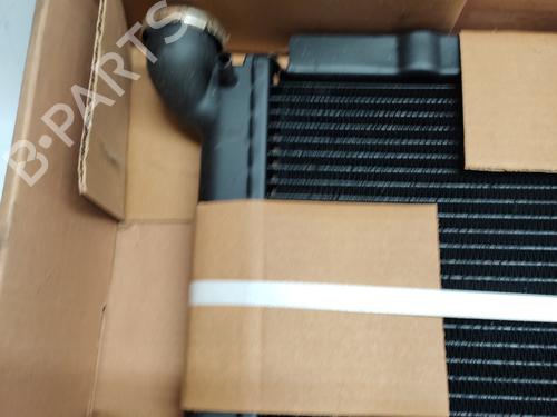 Used Water radiator RENAULT 11 (B/C37_) [1983-1995]  29813650