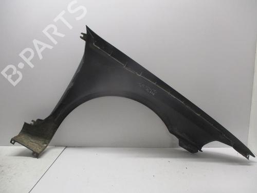 Left front fenders RENAULT LAGUNA II (BG0/1_) 1.9 dCi | BP27067114C41 