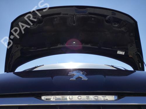 Hood PEUGEOT 3008 I MPV (0U_) 1.6 BlueHDi 120 | BP29913093C1