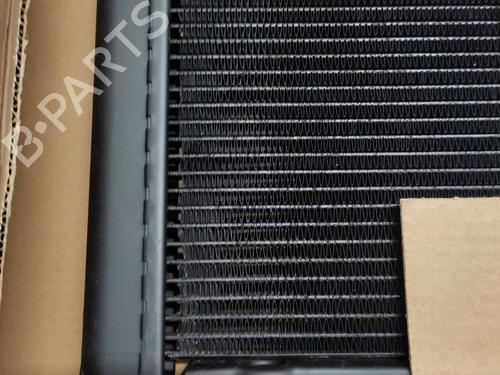 Water radiator RENAULT 11 (B/C37_)  | BP29813650M31