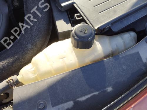 Used Expansion tank RENAULT CLIO III (BR0/1, CR0/1) 1.5 dCi (BR17, CR17) (86 hp) 27399172