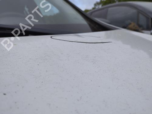 Hood RENAULT CLIO III (BR0/1, CR0/1) 1.5 dCi (C/BR0G, C/BR1G) | BP27046465C1 