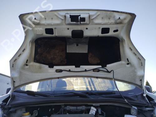 Hood CITROËN NEMO Box Body/MPV (AA_) 1.3 HDi 75 | BP29505481C1 