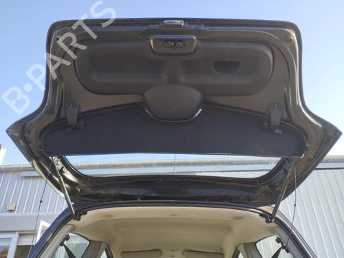 Tailgate RENAULT TWINGO II (CN0_) 1.2 16V (CN04, CN0B) | BP29545459C6 