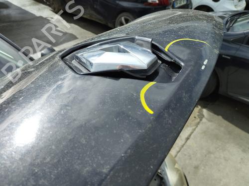 Used Hood Hood RENAULT LAGUNA III (BT0/1) 1.5 dCi (BT00, BT0A, BT0T, BT1J) (110 hp) 36012042 36012042