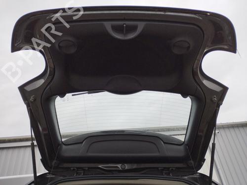 Tailgate MINI MINI PACEMAN (R61) Cooper D | BP29505419C6 
