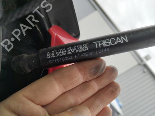 tailgate-lift-support-fiat-grande-punto-199_-2005-32854677 main image