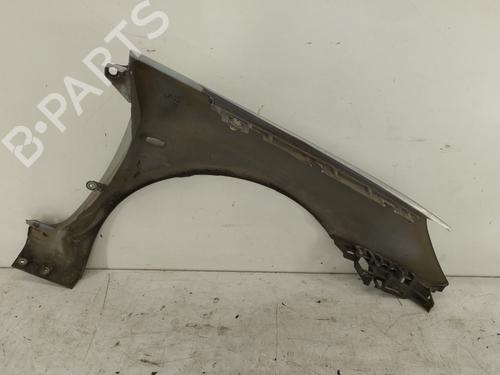Left front fenders PEUGEOT 307 (3A/C) 2.0 HDi 110 | BP29445579C41 