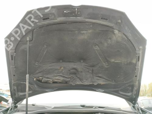 Used Hood Hood VW GOLF V (1K1) [2003-2010] 33724891 33724891