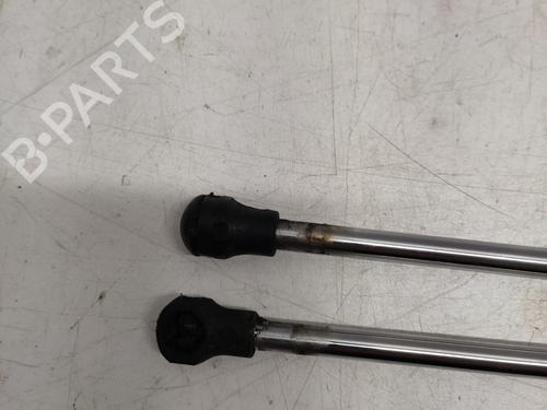 tailgate-lift-support-renault-clio-iii-br01-cr01-2005-2006-2007-2008-2009-2010-2011-2012-2013-2014-36592049 main image