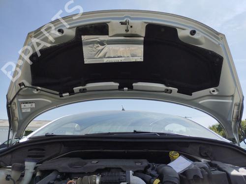 Hood PEUGEOT 207 CC (WD_) 1.6 HDi | BP27150665C1 