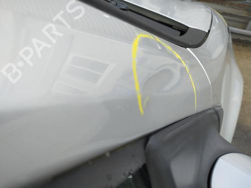 Right front door RENAULT CLIO III (BR0/1, CR0/1) 1.5 dCi (BR0H, CR0H, CR1S, BR1S) | BP29736890C3 