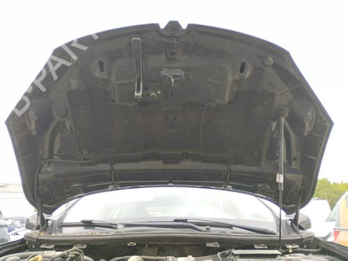 Hood RENAULT MEGANE III Hatchback (BZ0/1_, B3_) 1.5 dCi (BZ09, BZ0D, BZ1W, BZ29, BZ14) | BP28217499C1 