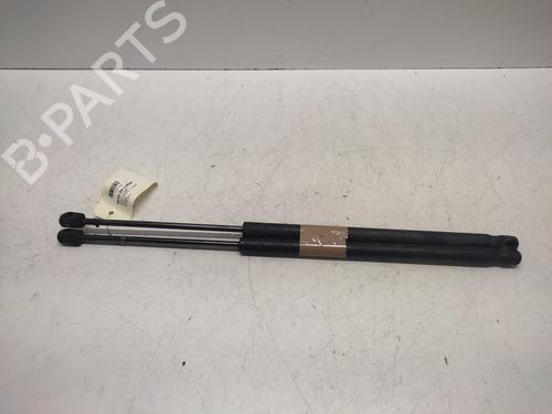 tailgate-lift-support-renault-scenic-ii-jm01_-2003-2004-2005-2006-2007-2008-2009-2010-36679732 main image