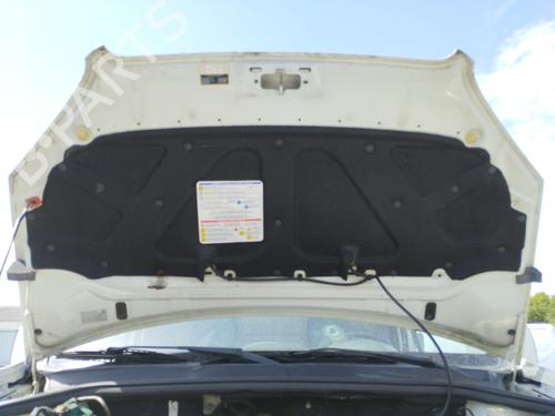 Hood FIAT DOBLO Box Body/MPV (223_) 1.3 D Multijet | BP27093403C1 