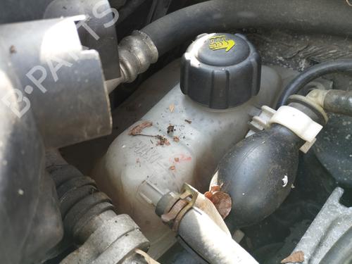 Used Expansion tank Expansion tank RENAULT SCÉNIC III (JZ0/1_) 1.5 dCi (110 hp) 33611823 33611823
