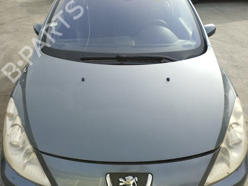 hood-peugeot-307-break-3e-2002-2003-2004-2005-2006-2007-2008-2009-33016046 main image