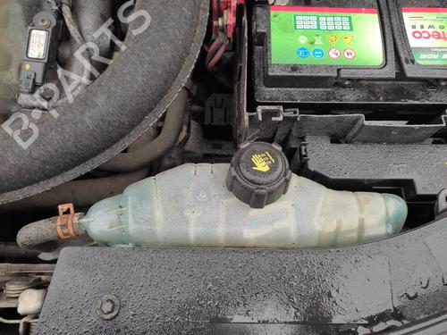 Used Expansion tank RENAULT CLIO III (BR0/1, CR0/1) 1.5 dCi (BR17, CR17) (86 hp) 27067631