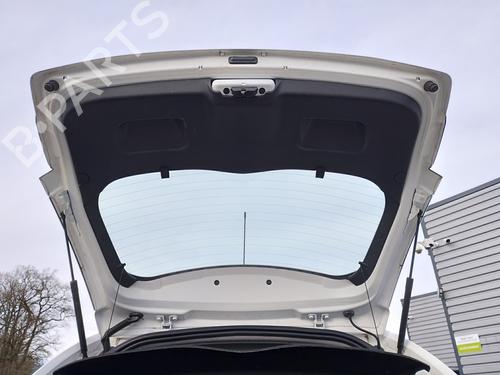 Viskermotor bagrude CITROËN C3 II (SC_) 1.2 VTi 82 (82 hp) 31659737