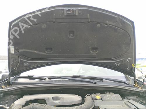 Capot Capot RENAULT CLIO III (BR0/1, CR0/1) 1.5 dCi (BR17, CR17) (86 hp) 32668604 32668604