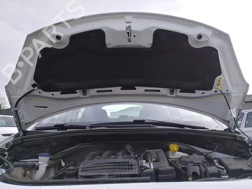 hood-citroen-c3-ii-sc_-2009-31659685 main image