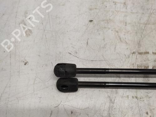 tailgate-lift-support-renault-scenic-ii-jm01_-2003-2004-2005-2006-2007-2008-2009-2010-33545060 main image
