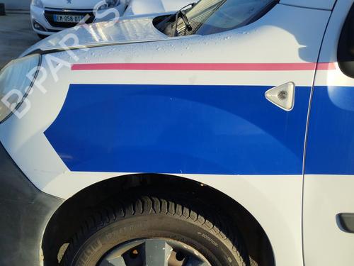 Used Left front fenders RENAULT KANGOO / GRAND KANGOO II (KW0/1_) 1.5 dCi 90 (KW05, KW08, KW0G, KW11) (90 hp) 27074161