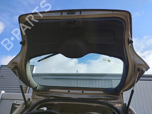 tailgate-renault-clio-iii-br01-cr01-2005-2006-2007-2008-2009-2010-2011-2012-2013-2014-38455528 main image