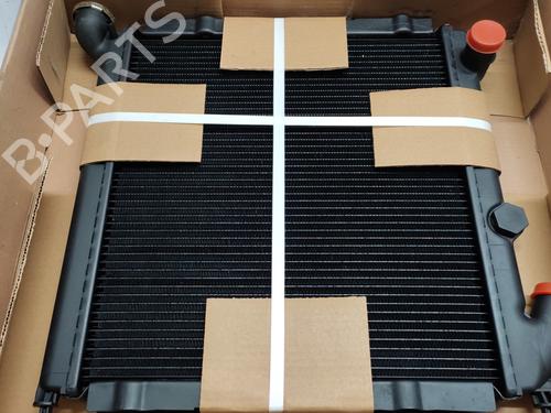 Water radiator RENAULT 11 (B/C37_)  | BP29813650M31