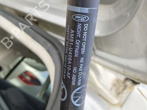 Tailgate lift support FORD GRAND C-MAX (DXA/CB7, DXA/CEU) 1.6 TDCi | BP29550564C138 