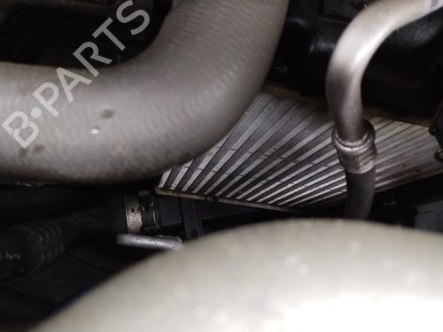 Intercooler RENAULT MEGANE IV Grandtour (K9A/M/N_) 1.5 dCi 110 (110 hp) 32095847