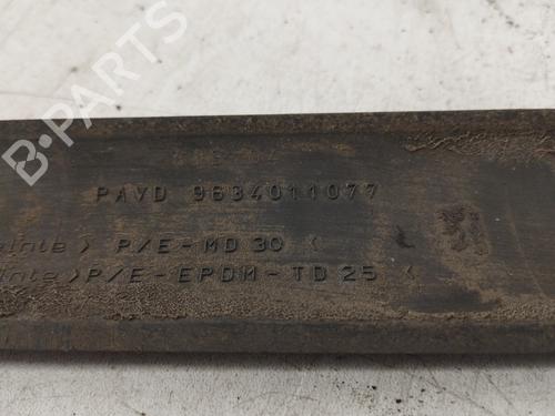 Door moulding trim PEUGEOT 307 (3A/C) 2.0 HDi 110 | BP29445576C150 