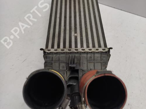 Intercooler CITROËN C3 III Van (SX_, SY_) BlueHDi 100 | BP31168812M30 - Image 4