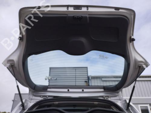 Tailgate RENAULT CLIO III (BR0/1, CR0/1) 1.5 dCi (BR0H, CR0H, CR1S, BR1S) | BP29736886C6 