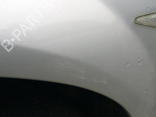 Left front fenders RENAULT MEGANE II (BM0/1_, CM0/1_) 1.6 16V (BM0C, CM0C) | BP27081939C41 