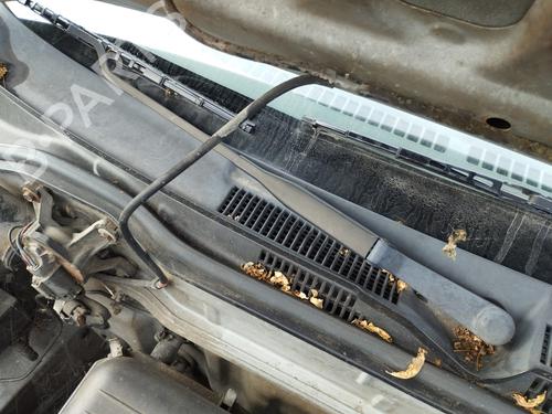 Front windshield wiper arm NISSAN MICRA II (K11) 1.0 i 16V 288855F200