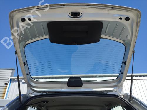 Used Tailgate Tailgate DACIA SANDERO 1.4 (BS0C, BS0A, BS0G, BS1F, BS0E) (75 hp) 29026585 29026585