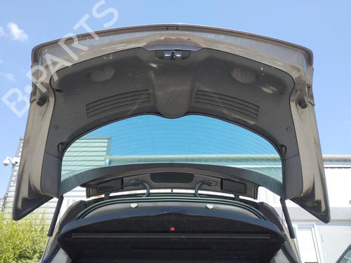 Tailgate RENAULT VEL SATIS (BJ0_) 2.2 dCi (BJ0E, BJ0F) | BP27064045C6 
