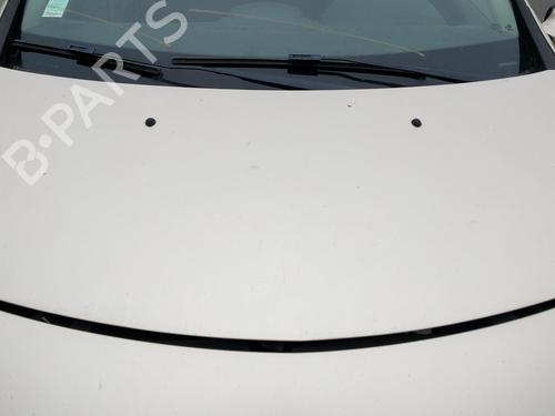 Used Hood RENAULT CLIO III (BR0/1, CR0/1) 1.5 dCi (BR17, CR17) (86 hp) 27081840