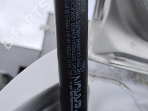 Tailgate lift support RENAULT CLIO III (BR0/1, CR0/1) 1.5 dCi (BR0H, CR0H, CR1S, BR1S) | BP29736934C138 
