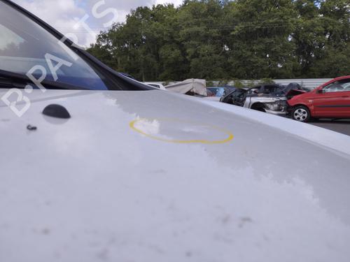 Hood RENAULT CLIO III Grandtour (KR0/1_) 1.2 16V | BP27503521C1 