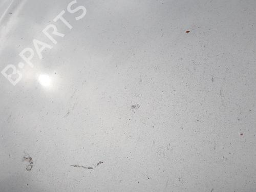 Hood FIAT GRANDE PUNTO (199_) 1.3 D Multijet | BP27077912C1 