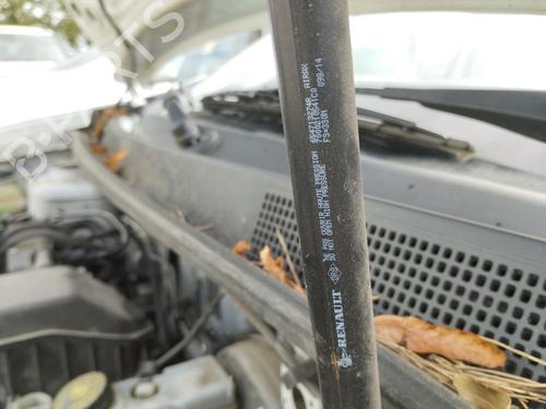 Hood lift support DACIA SANDERO II 1.2 | BP29969212C139