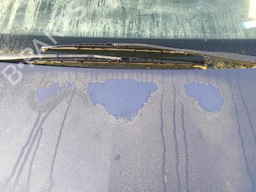 Hood OPEL MERIVA A MPV (X03) 1.4 16V Twinport LPG (E75) | BP27071939C1