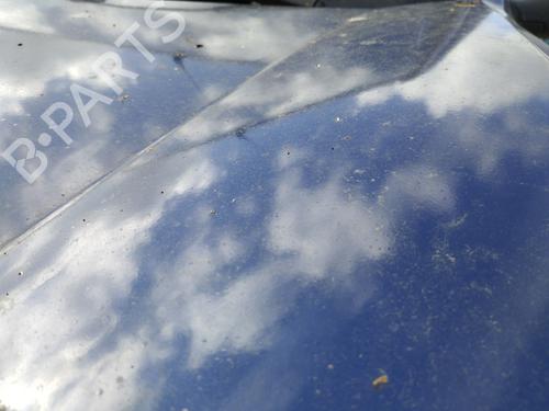 Capot Capot RENAULT KANGOO (KC0/1_) 1.5 dCi (KC08, KC09) (82 hp) 34166572 34166572