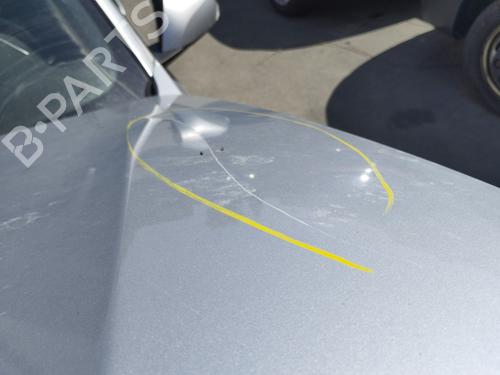 Hood RENAULT LAGUNA III Grandtour (KT0/1) 2.0 dCi (KT07, KT0J, KT14, KT1A, KT1S) | BP29550683C1 