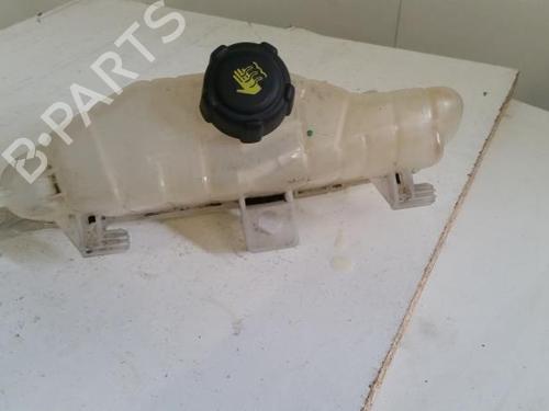 Used Expansion tank RENAULT CLIO III (BR0/1, CR0/1) 1.5 dCi (BR17, CR17) (86 hp) 28027333