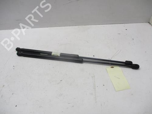Hood lift support VW TOUAREG (7LA, 7L6, 7L7) 3.0 V6 TDI BP27066898C139